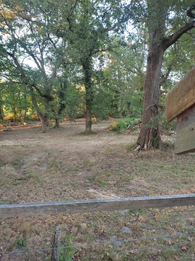 Maisonnette Vue Sur Foret Campagne  Luaran gambar