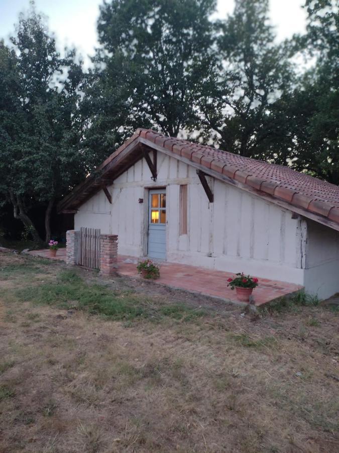 Maisonnette Vue Sur Foret Campagne  Luaran gambar